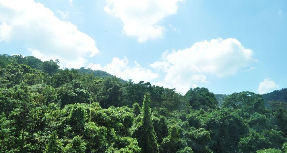Cherry Feast Resort Yuchi Ngoại thất bức ảnh